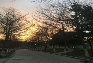 一物一世界