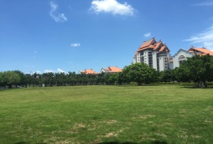 暖暖