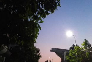 灯·忆