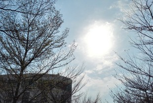 日光