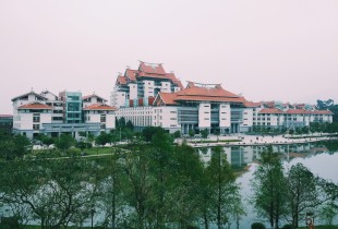良辰嘉景