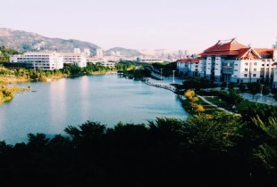 爱嘉
