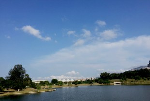 饮料