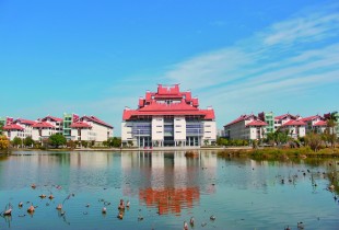 春风沂水