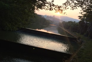 春绘