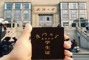 游