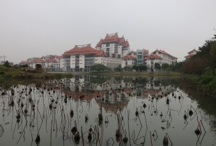 岚烟下