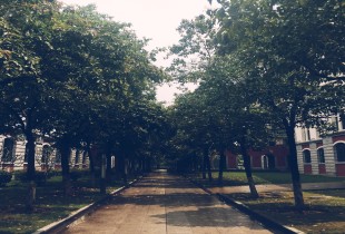 迟到的阳光