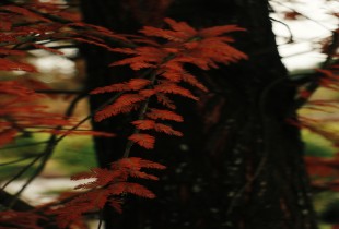 红绿蓝