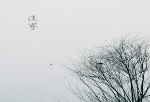 迷雾