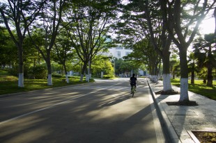 在路上