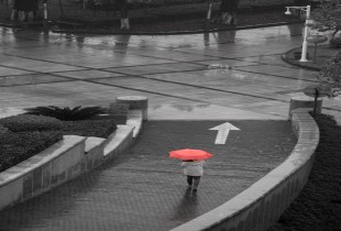 邂逅一场雨