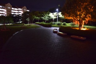 夜幕 家园