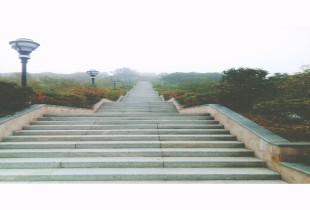 仙境