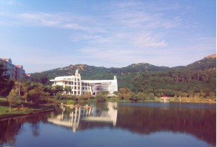 沿途的风景