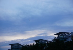 嘉庚の空