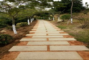 路