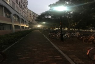 想嘉