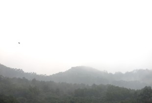 雨中蓬莱