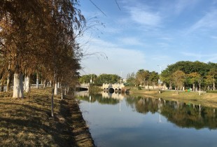 蓦然回首