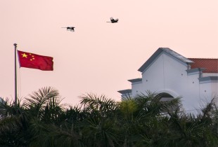 “嘉”里有喜