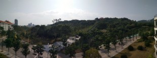 孤寂后，你好