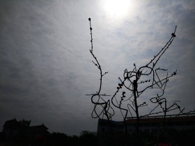 因为眼睛小