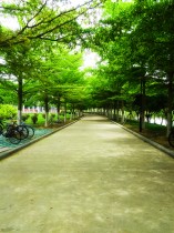 盛夏的味道