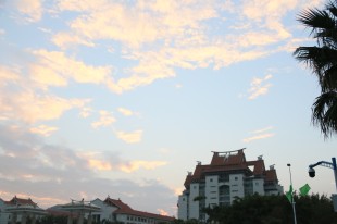 我身边的“嘉”