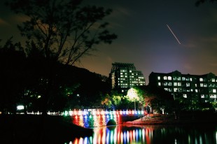 嘉夜