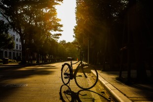夕阳下的嘉园