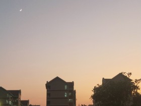 月逐