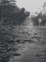 冒雨回“嘉”
