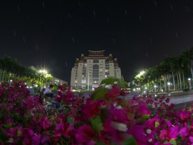 “星”花怒放