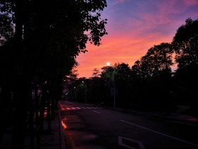 Calm “Dawn”