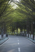 春秋凌波路