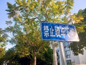 山路