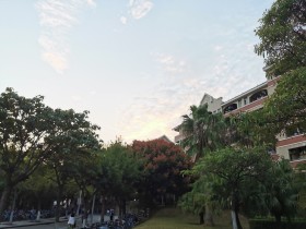 “嘉庚”美景