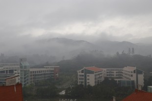 “雨”嘉