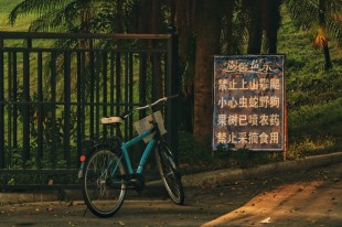温馨提示