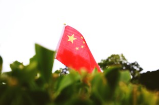 青春告白祖国